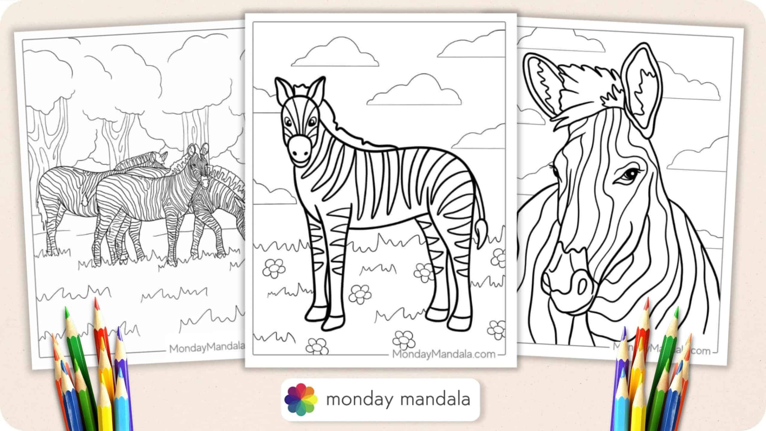 Zebra coloring pages free pdf printables