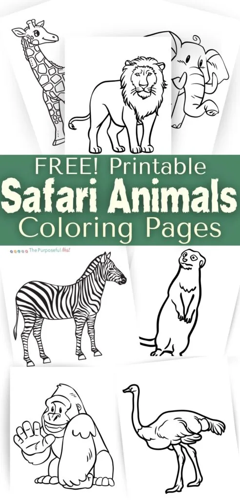 Safari animal coloring pages