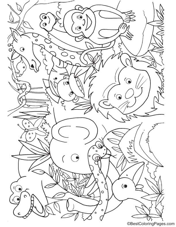 Animals in jungle coloring page jungle coloring pages zoo animal coloring pages zoo coloring pages