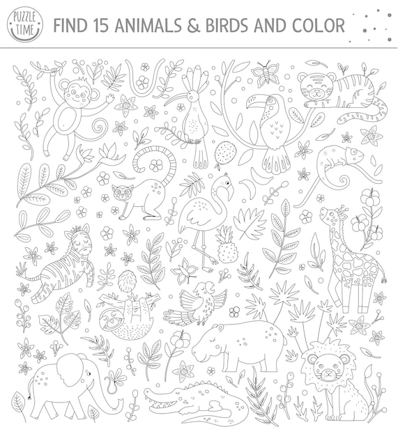 Premium vector tropical black and white searching game for children with cute funny characters find hidden animals and birds in the jungle and color fun coloring page for kids