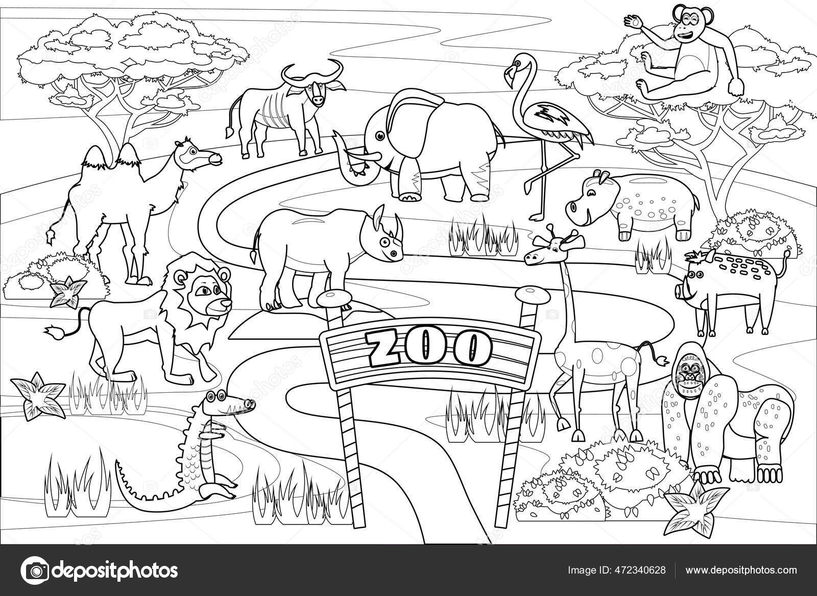 Zoo jungle safari animals coloring book edicational illustration for children set cute lion crocodile monkey elephant camel rhinoceros gorilla hyppo vector white black cartoon outline stock vector by valerihadeev