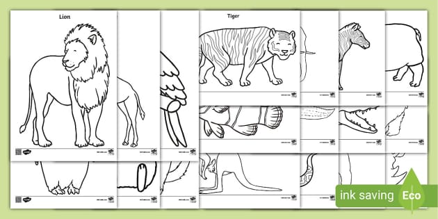 Zoo animals colouring pages teacher made