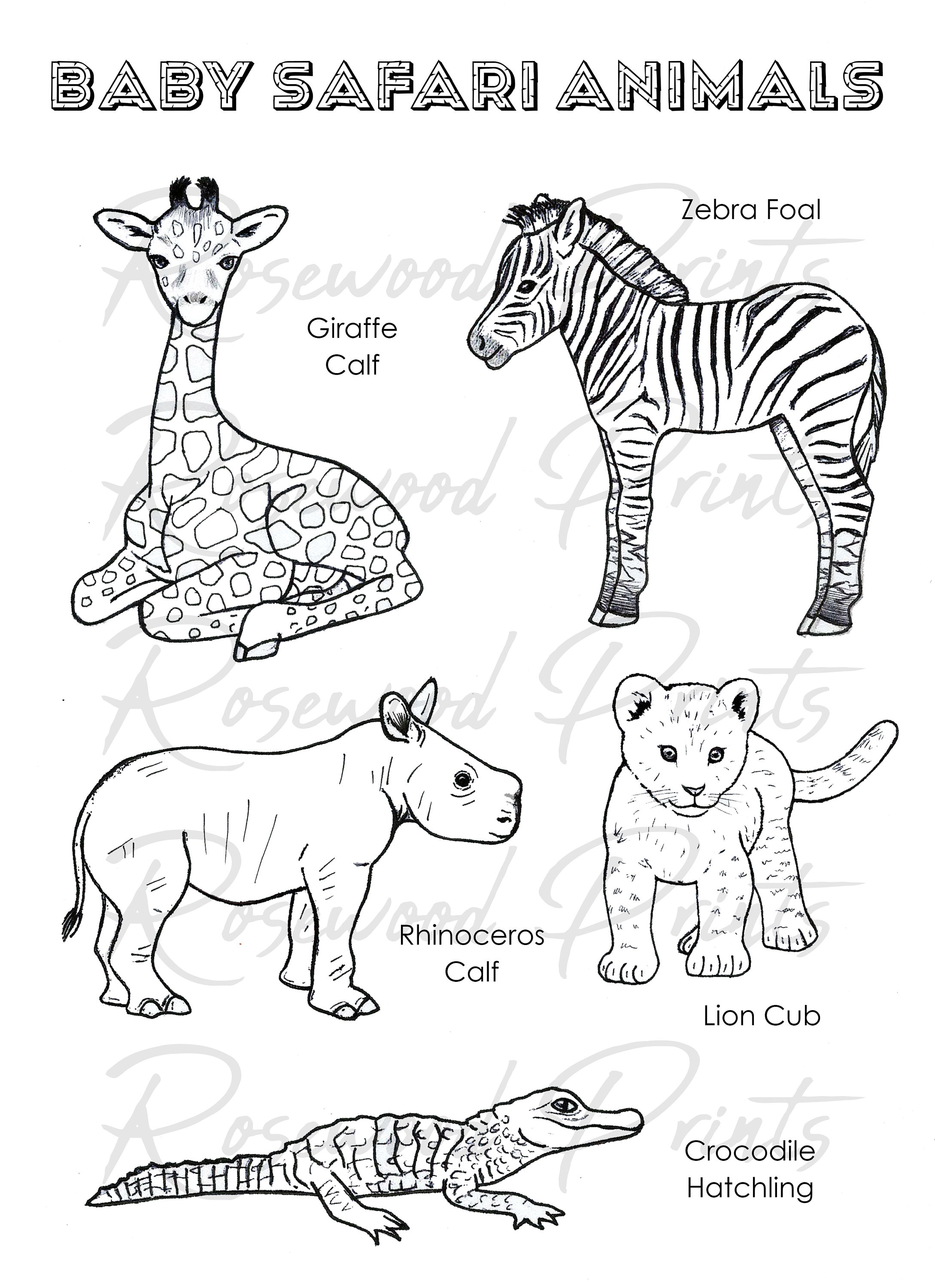 Baby safari animals coloring pages