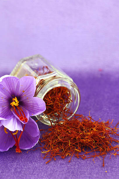 2,483 Flower Background Autumn Saffron Stock Photos - Free & Royalty-Free  Stock Photos from Dreamstime