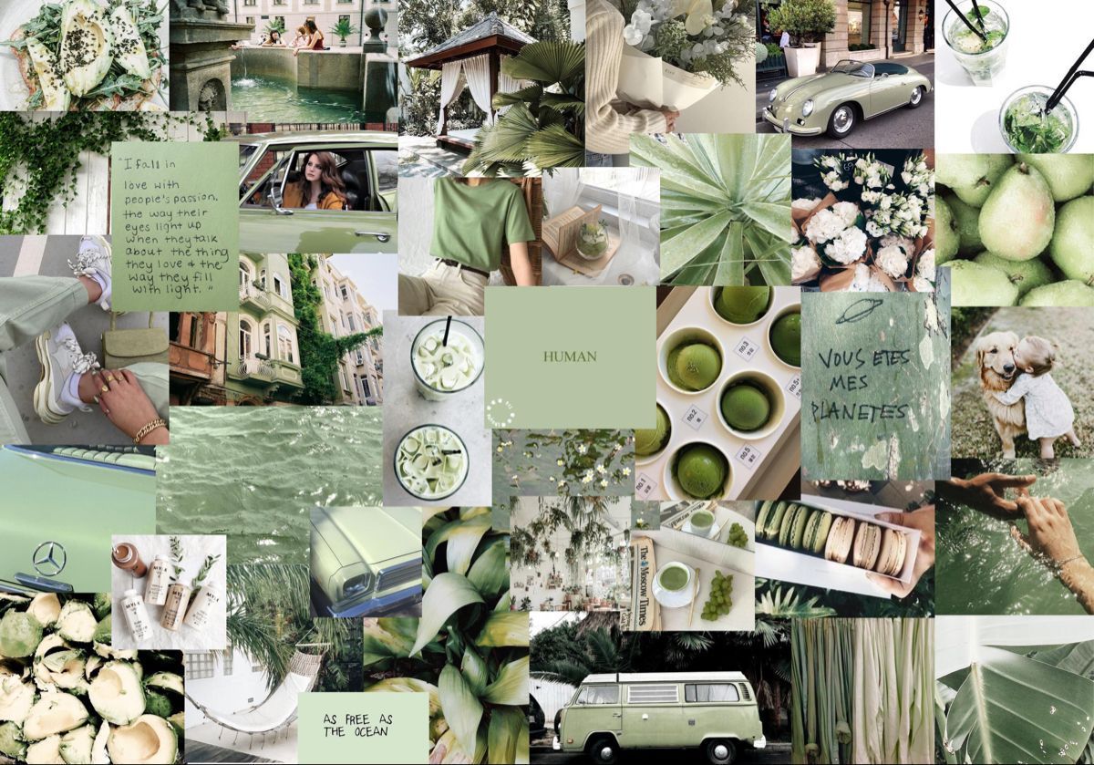 Sage Green Aesthetic Laptop Wallpaper (1440x900) Cute