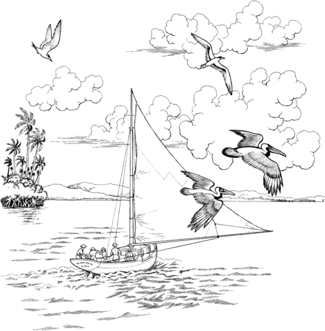 Two pelicans fly over the sailboat coloring page free printable coloring pages