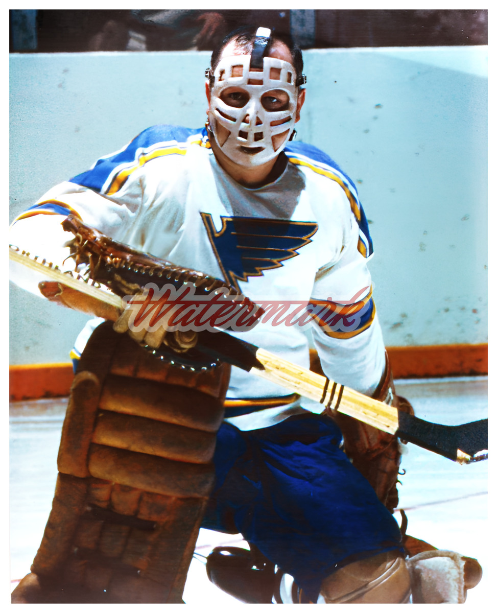 Nhl glenn hall st louis blues pretzel mask color x photo picture