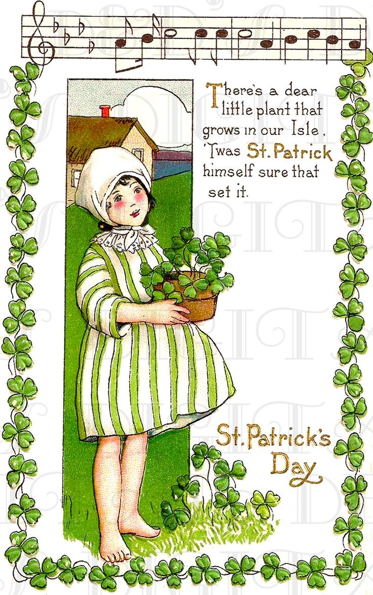 A pot of shamrocks st patricks day vintage printable image digital download st patricks digital print