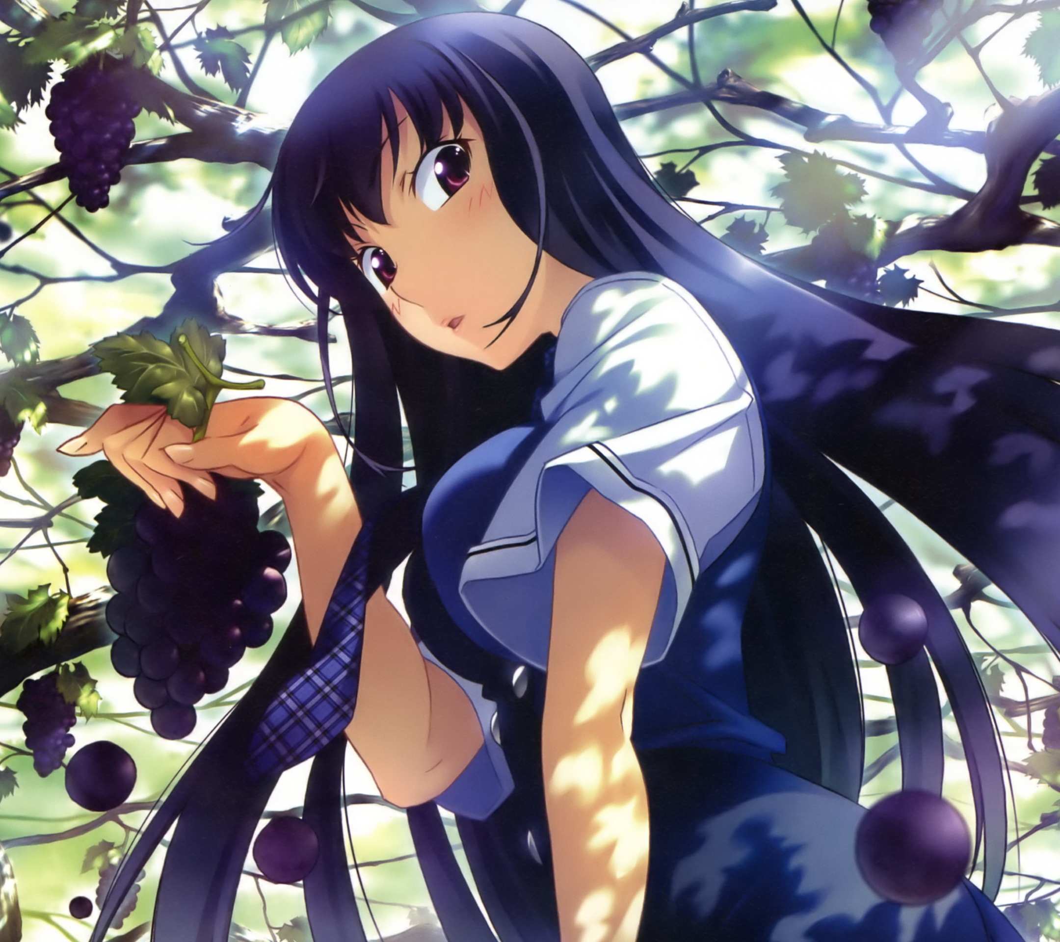 Yumiko Sakaki, Grisaia no Kajitsu Anime #fondos #wallpaper #waifu