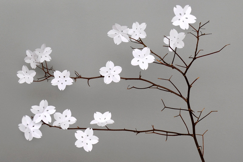 Paper cherry blossoms kids crafts fun craft ideas