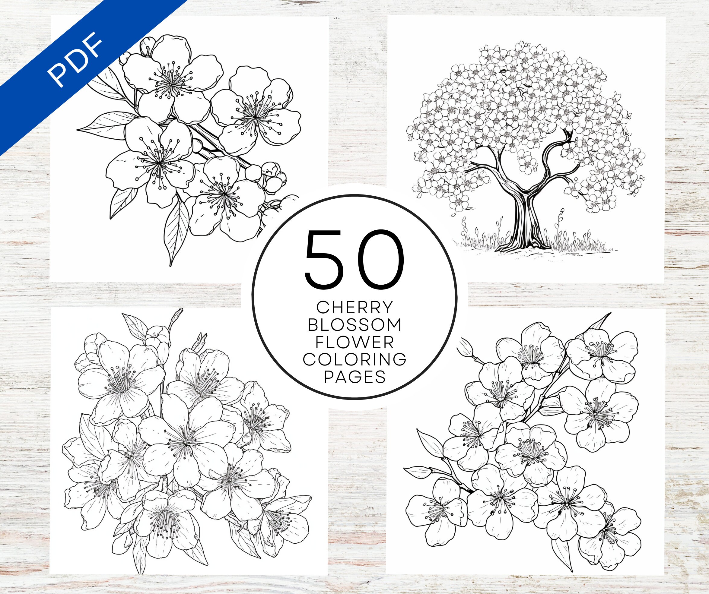 Kdp interior cherry blossom flower coloring pages x pdfcanva template mercial use floral sakura coloring sheets