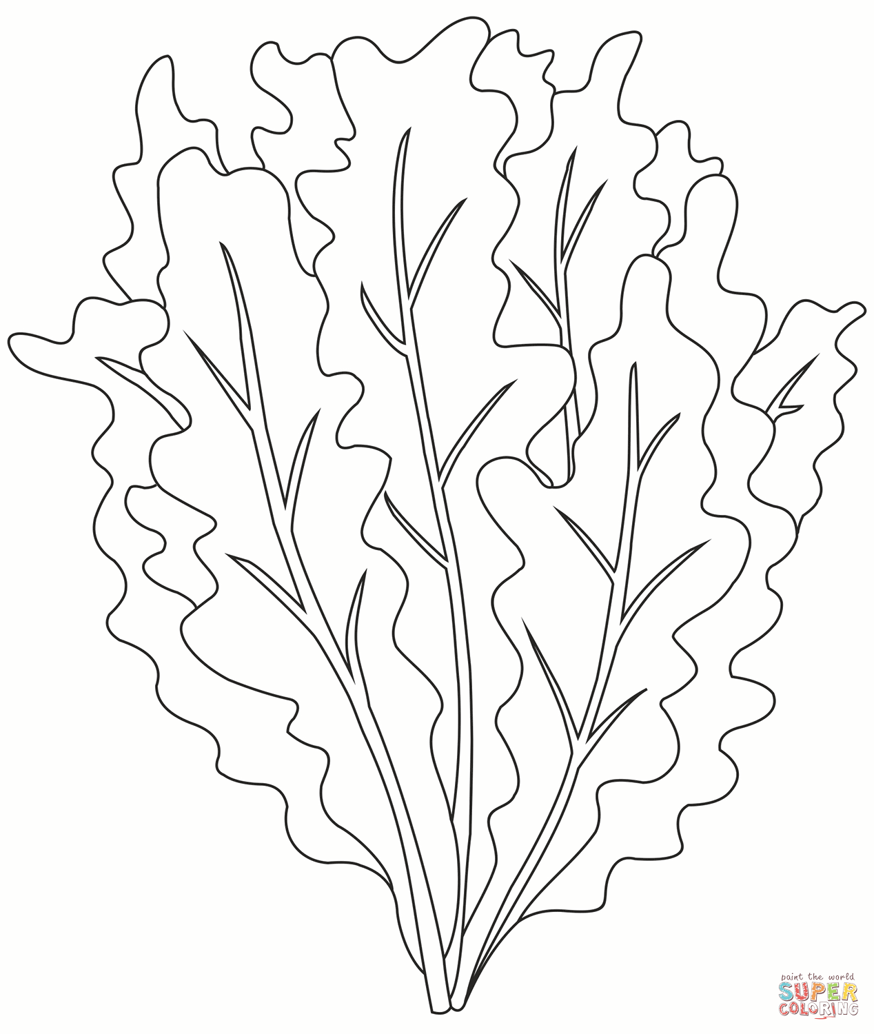 Salad coloring page free printable coloring pages