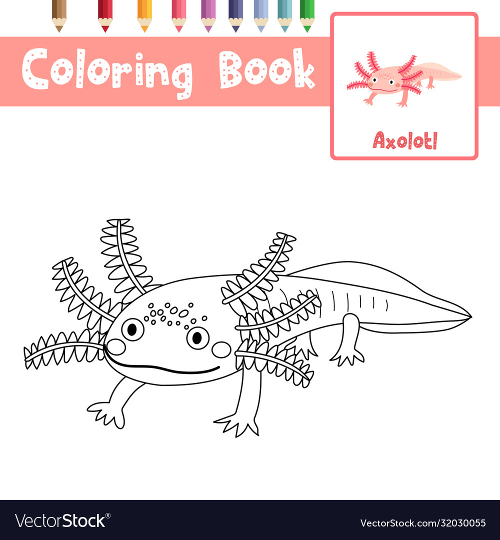 Coloring page axolotl mexican salamander vector image