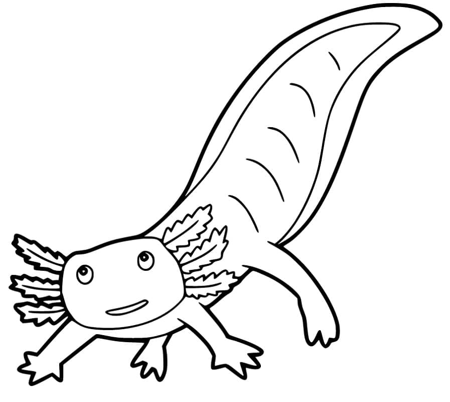 Free axolotl coloring page