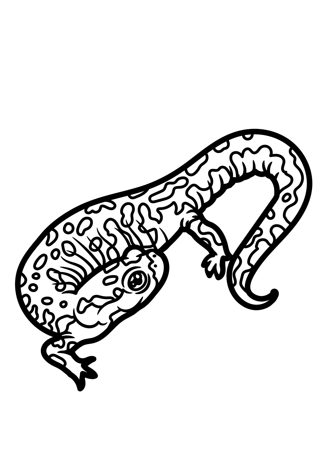 Salamander coloring pages printable for free download