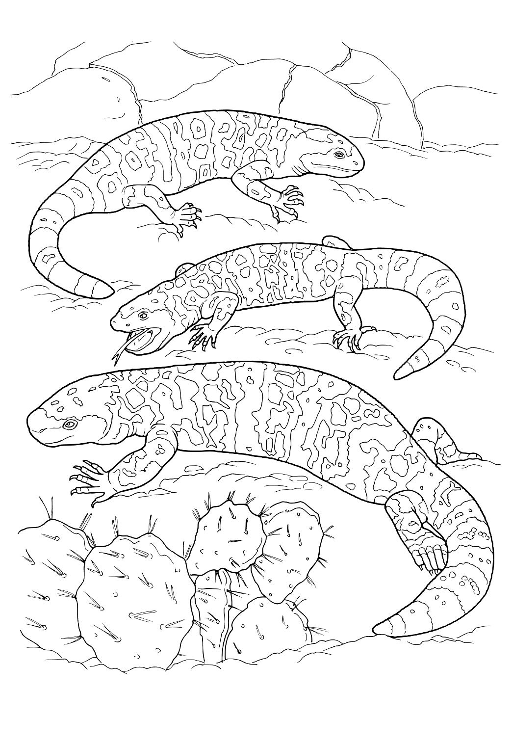 Free printable lizard real coloring page for adults and kids