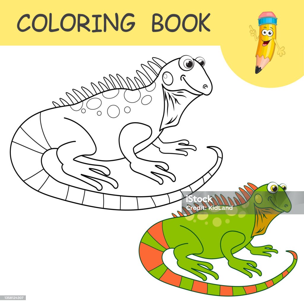 Coloring book with fun character iguana colorless and color samples salamander on coloring page for kids coloring design in cute cartoon style black contour silhouette with a sample for coloring stock illustration