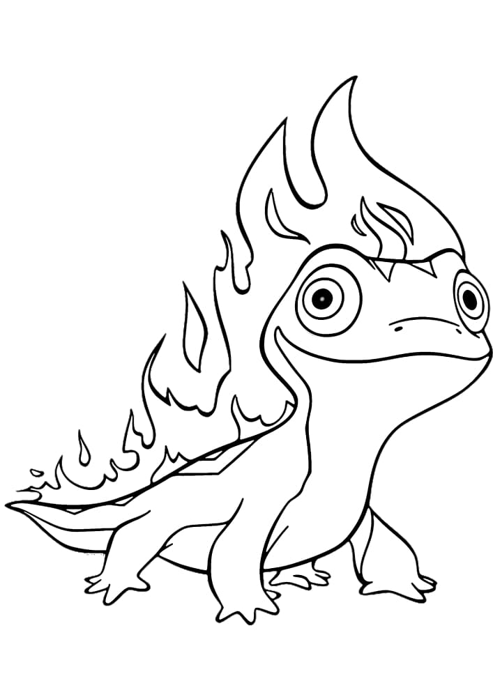 Salamander coloring book