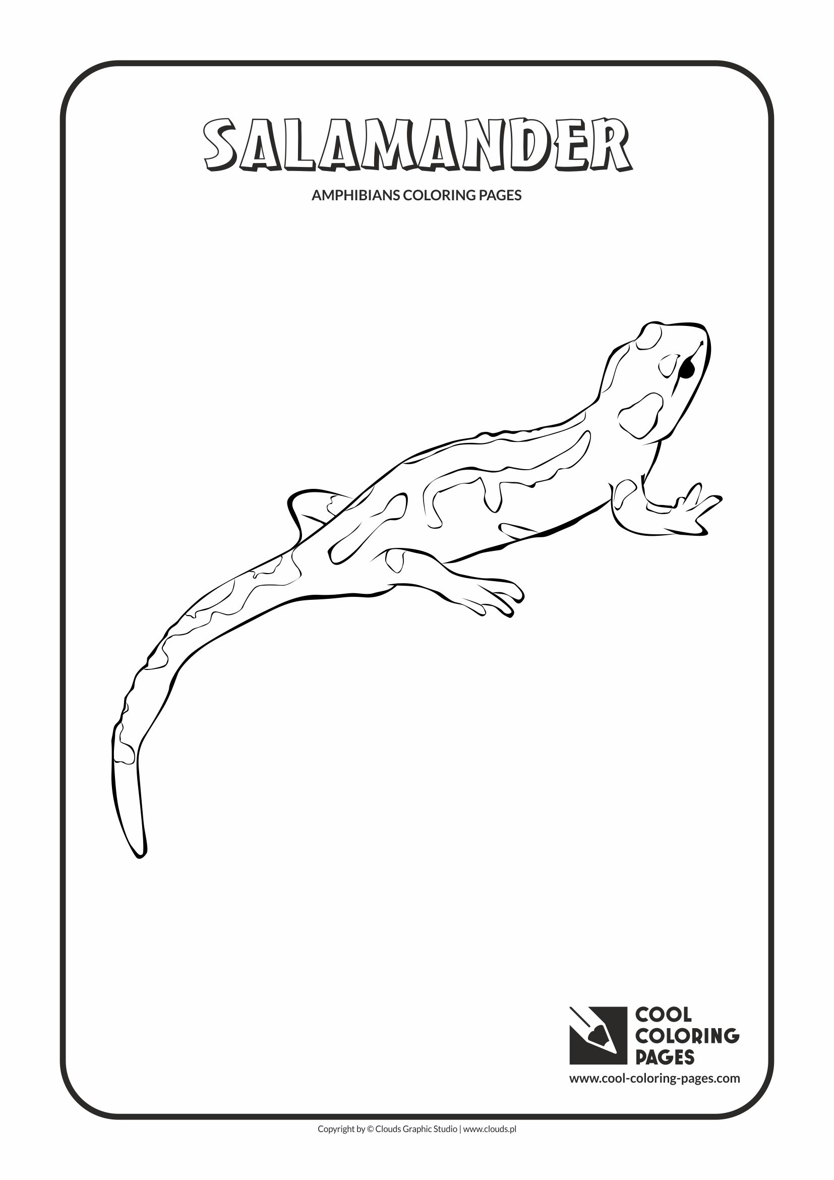 Cool coloring pages salamander coloring page