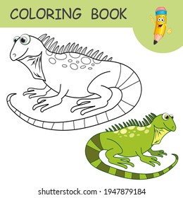 Coloring book fun character salamander colorless stock vector royalty free