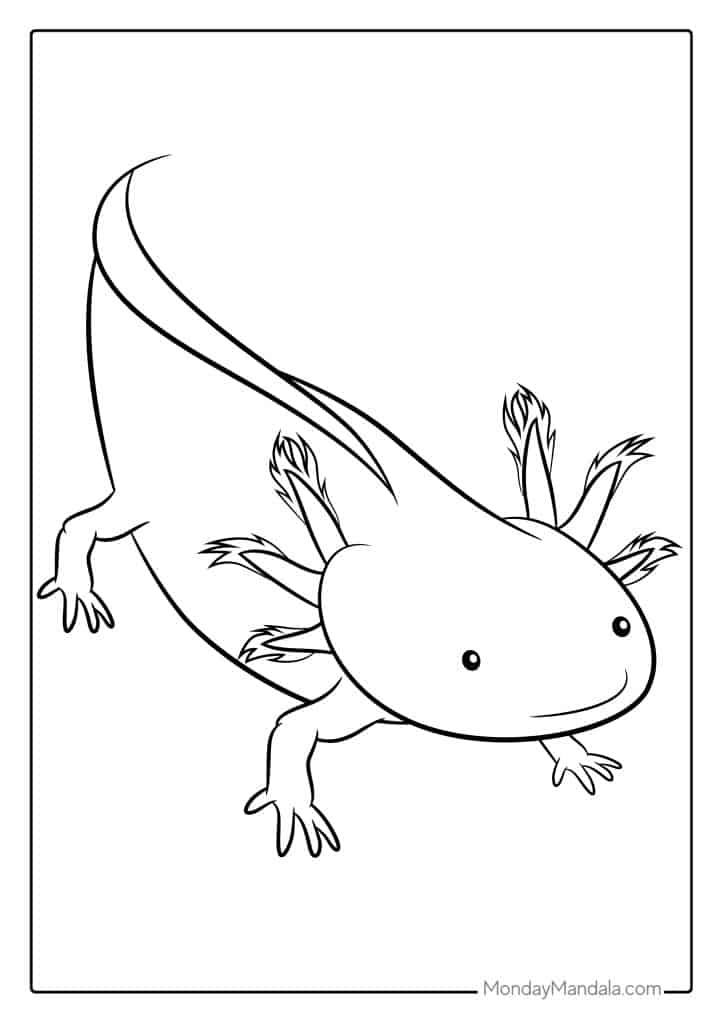 Axolotl coloring pages free pdf printables