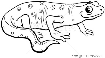 Cartoon newt amphibian animal character