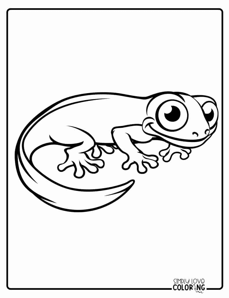 Salamander coloring pages free pdf printables