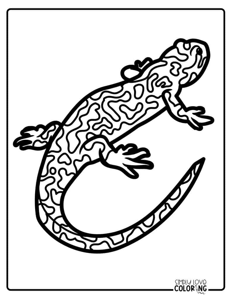 Salamander coloring pages free pdf printables