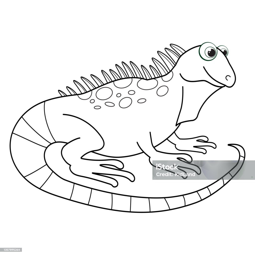 Colorless cartoon salamander coloring pages template page for coloring book of funny lizard or dragon for kids practice worksheet or antistress page for child cute outline education game eps stock illustration