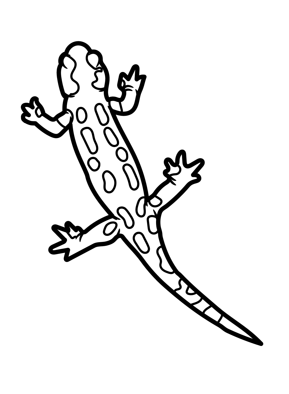 Salamander coloring pages printable for free download