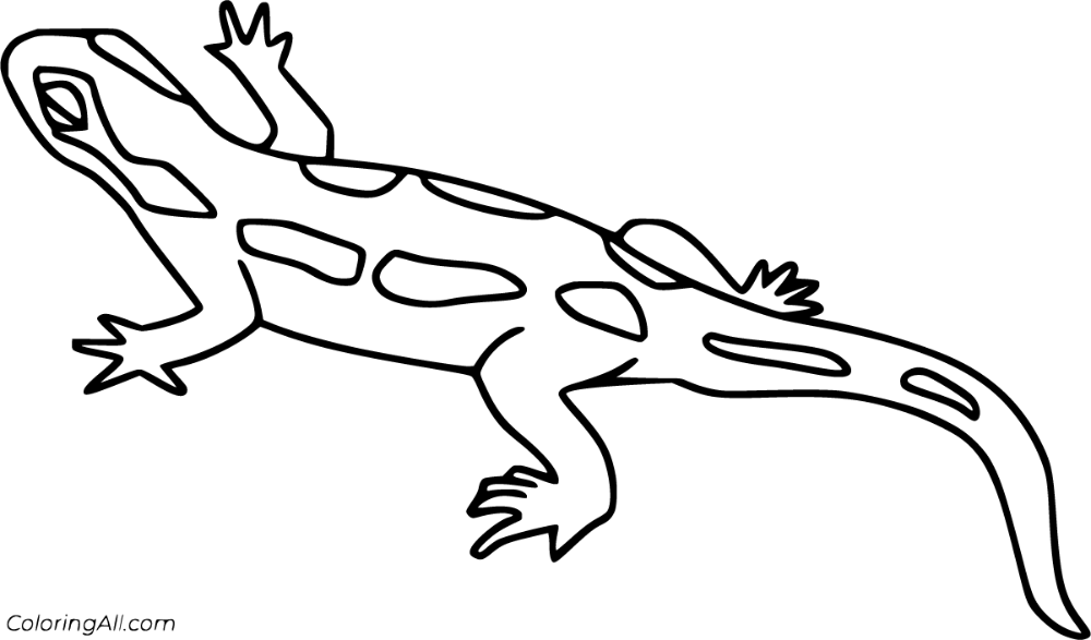 Free printable salamander coloring pages in vector format easy to print from any device and â coloring pages graphic arts illustration animal coloring pages