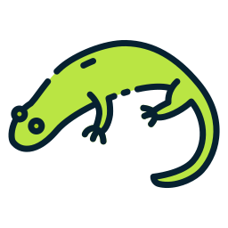 Salamander