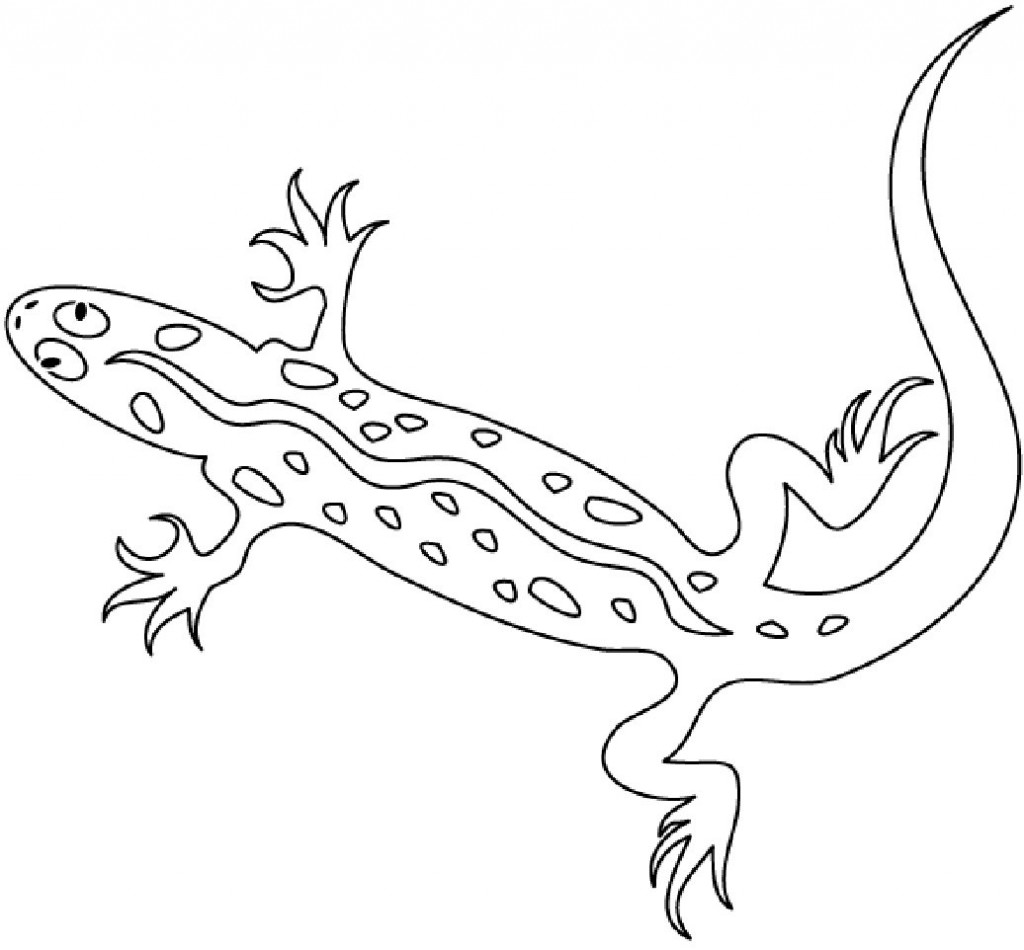 Coloring page salamander animals â printable coloring pages