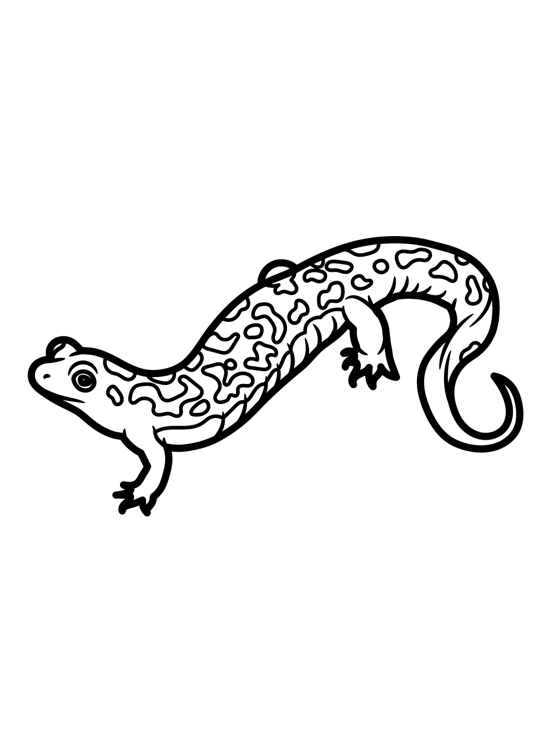 Salamander coloring pages printable for free download