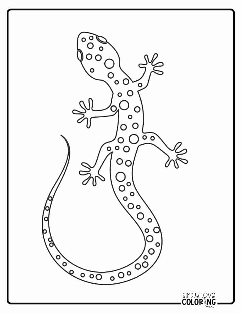 Salamander coloring pages free pdf printables