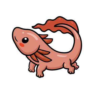 Salamander cartoon clipart images free download png transparent background