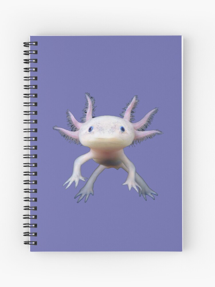 Axolotl animal