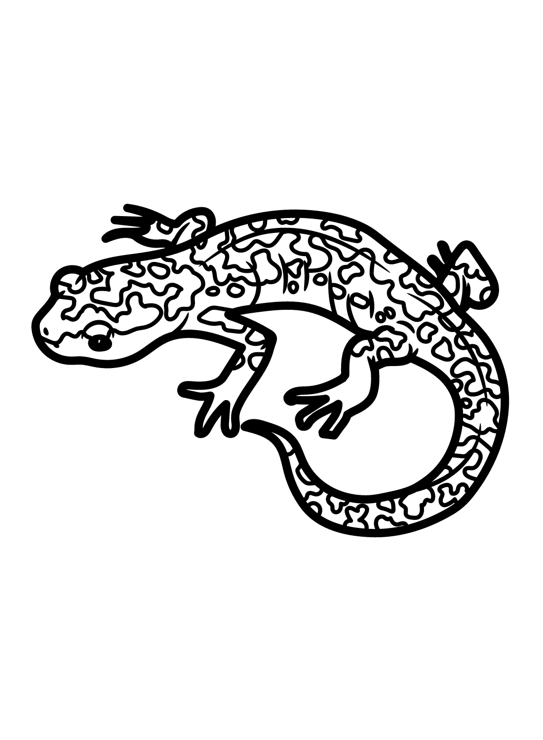 Salamander coloring pages printable for free download