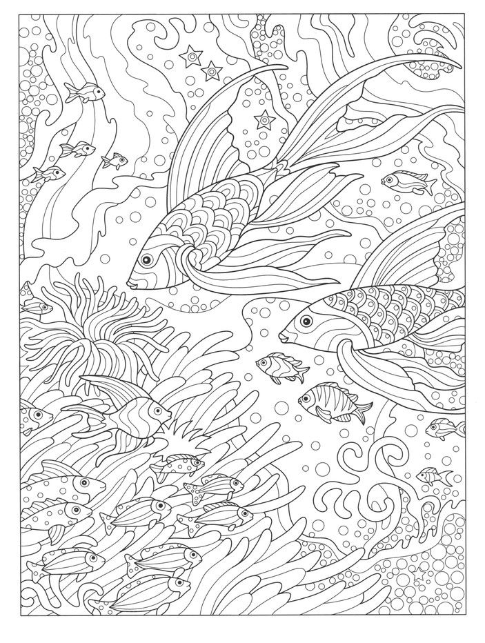 Fanciful sea life coloring book coloring pages adult coloring pages coloring books