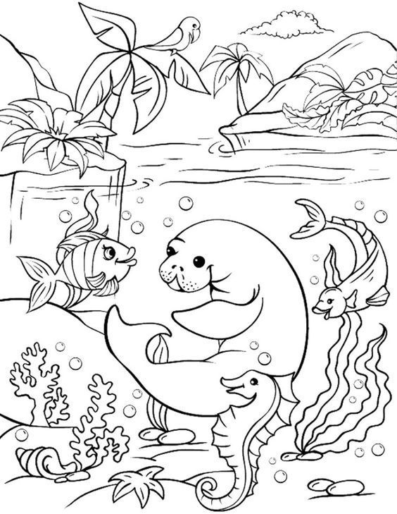 Dive into a world of color with this fish coloring book page