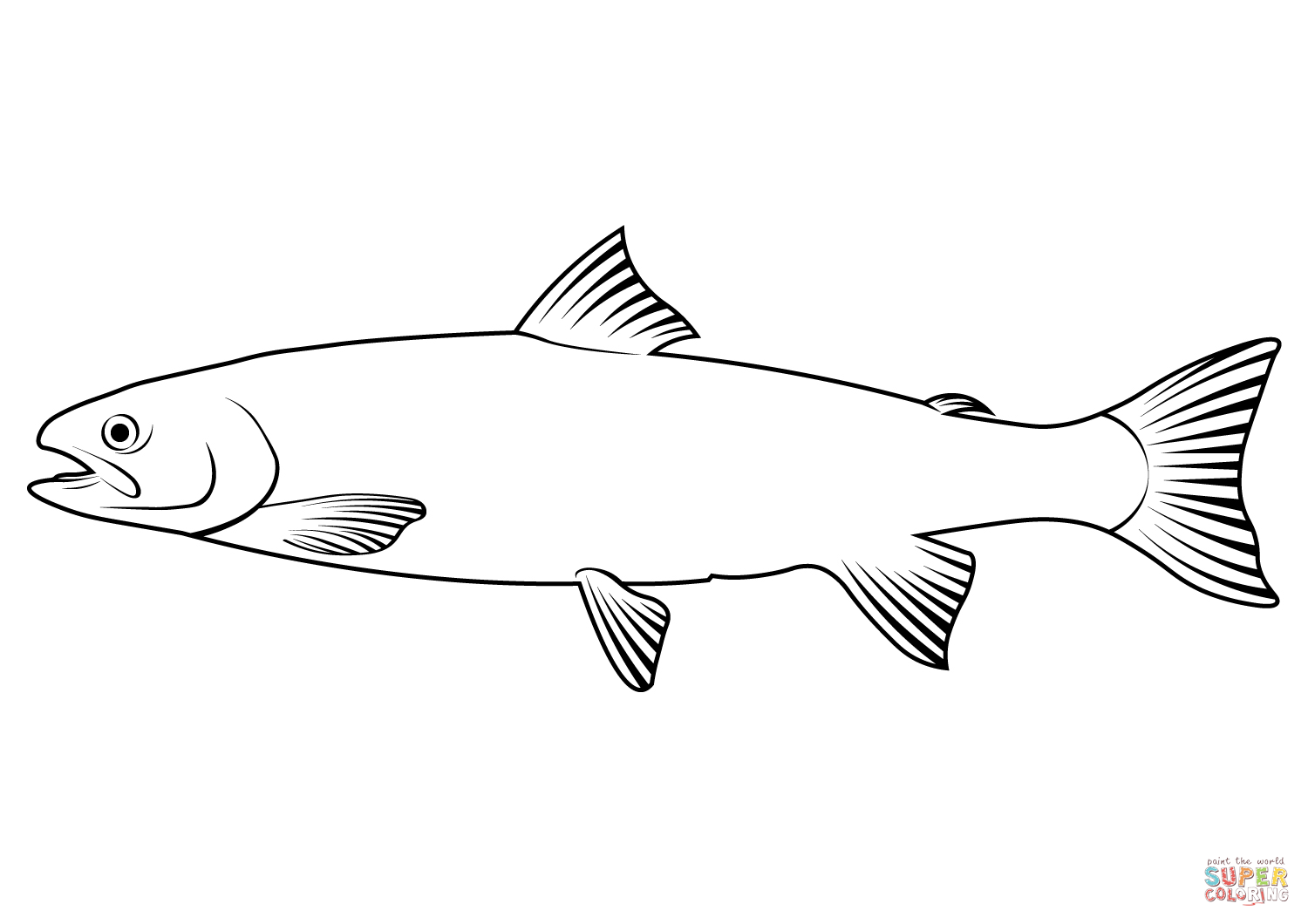 Dolly varden trout salvelinus malma coloring page free printable coloring pages