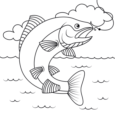 Salmon coloring page free printable coloring pages