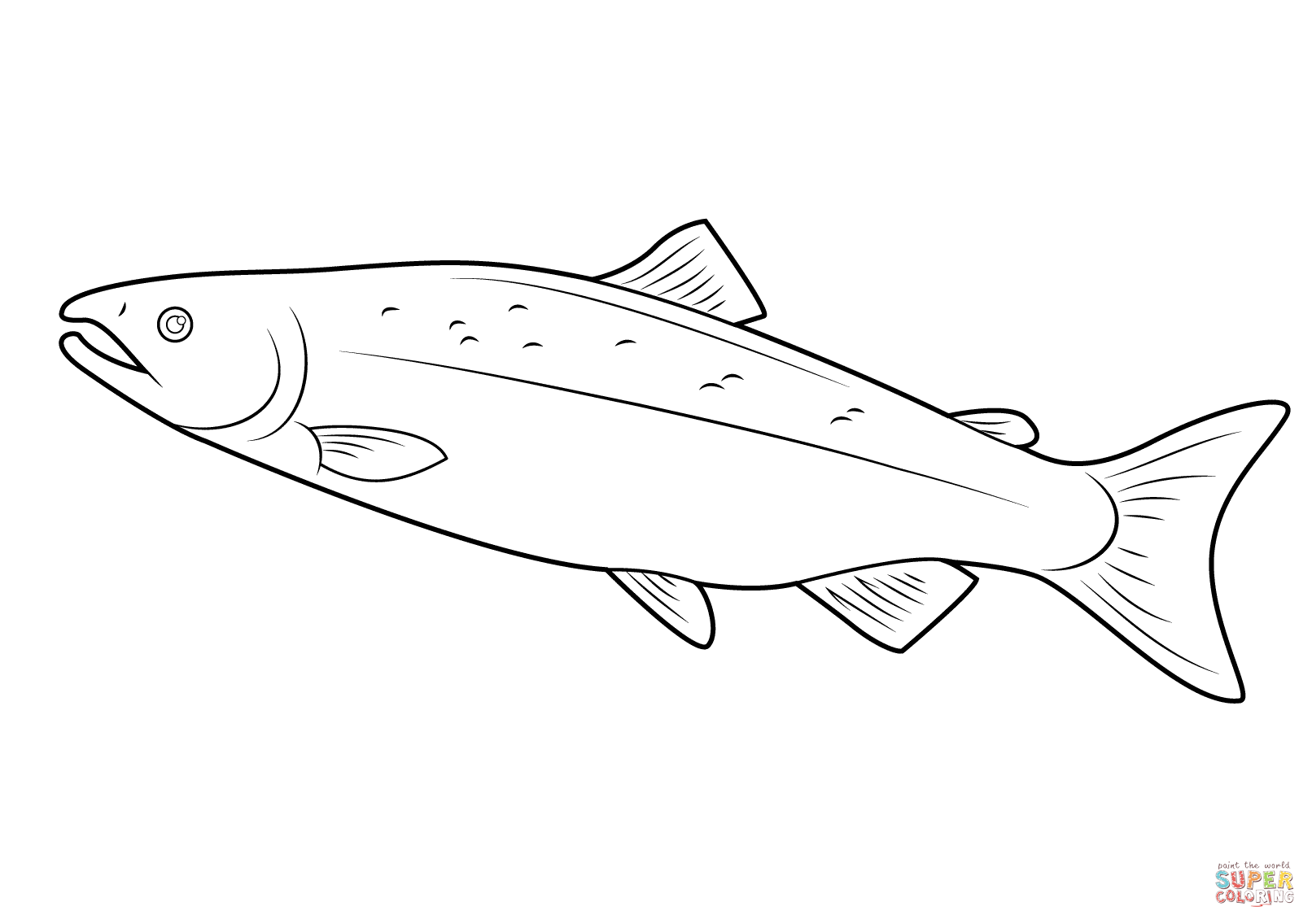 Salmon coloring page free printable coloring pages