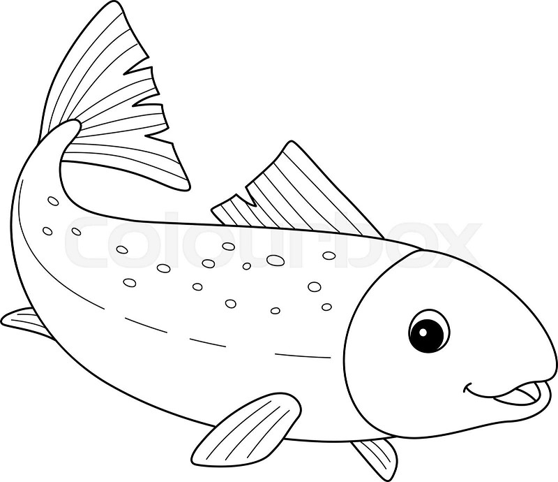 Salmon animal isolated coloring page for kids stock vector