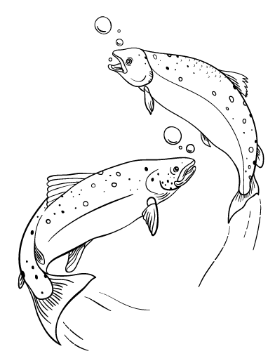 Free salmon coloring page