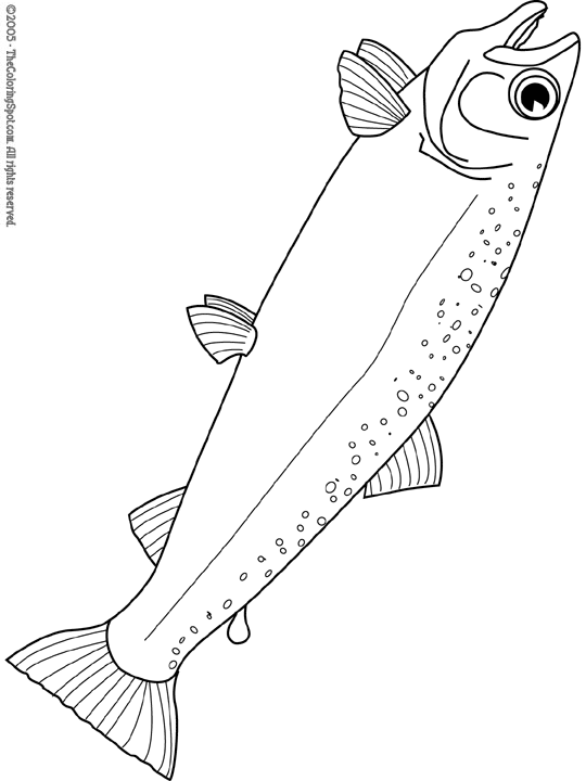 Salmon coloring page audio stories for kids free coloring pages colouring printables