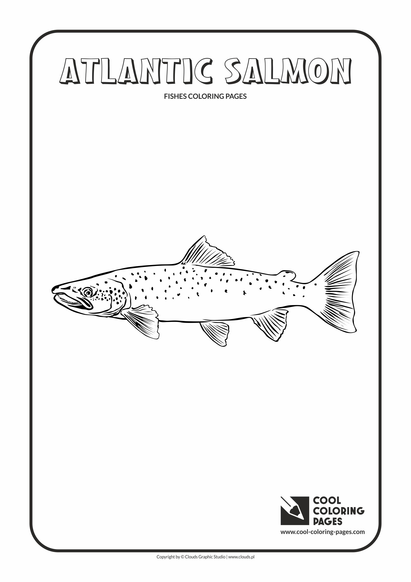 Cool coloring pages atlantic salmon coloring page