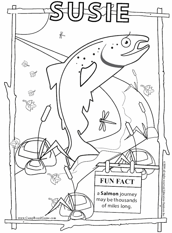 Animal coloring pages