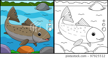 Salmon animal coloring page colored illustration