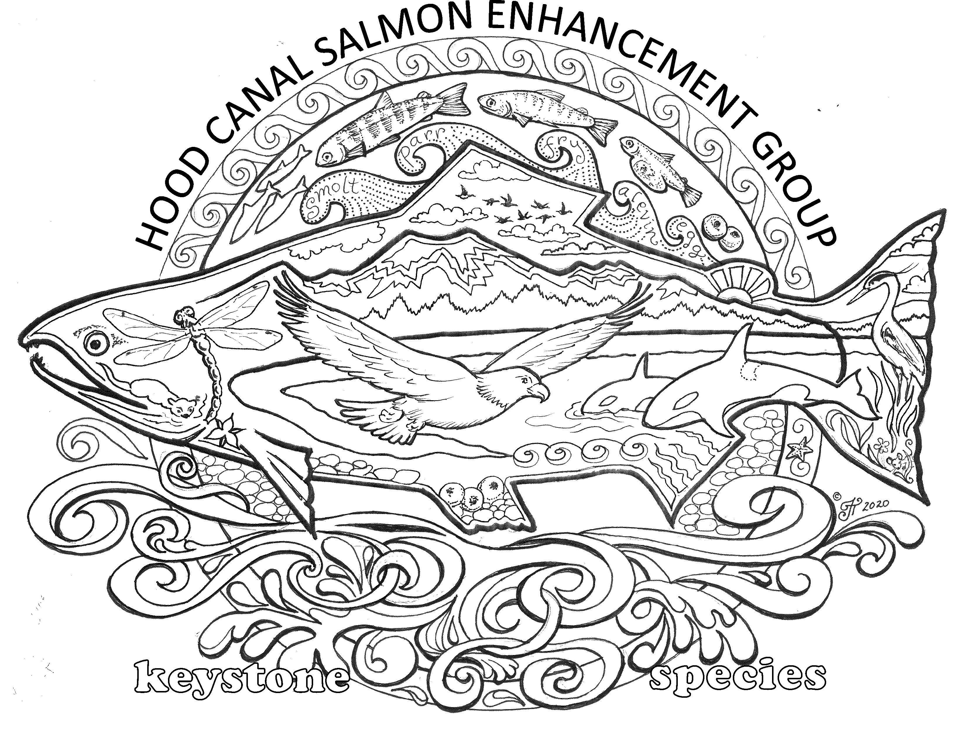 Salmon keystone species coloring pages